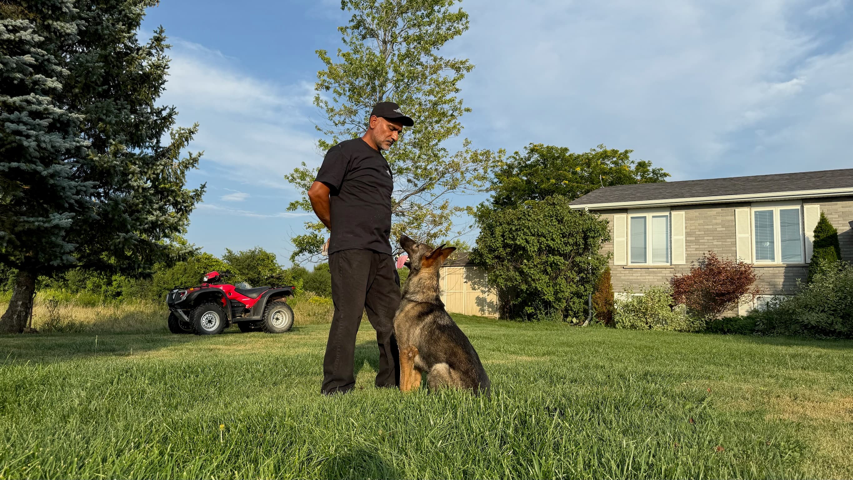 Professional German Shepherd breeder and dog trainer - Elite protection dog training facility